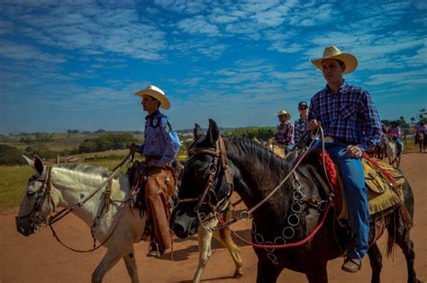 Vídeos pornôs com Cavalgada 